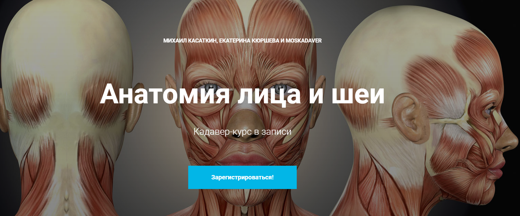 [Михаил Касаткин] Кадавер-курс _Анатомия лица и ше_0.png